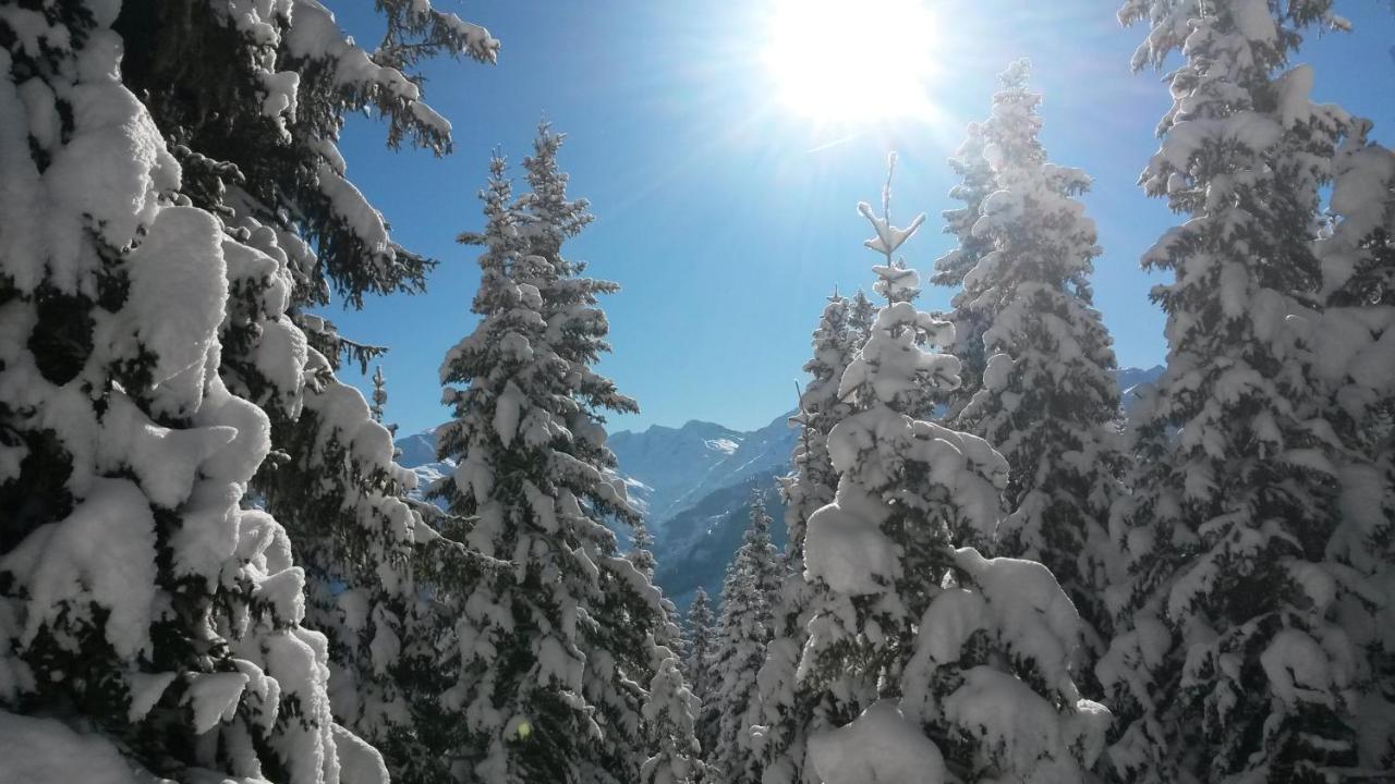 Haus Renswouw Hotel Hollersbach im Pinzgau Ngoại thất bức ảnh