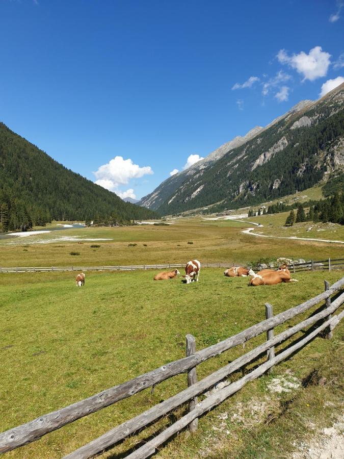 Haus Renswouw Hotel Hollersbach im Pinzgau Ngoại thất bức ảnh