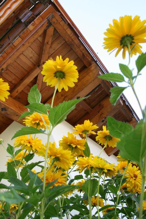 Haus Renswouw Hotel Hollersbach im Pinzgau Ngoại thất bức ảnh